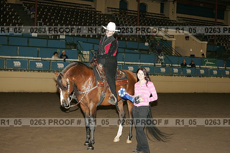 Proof Number r1_05__0263