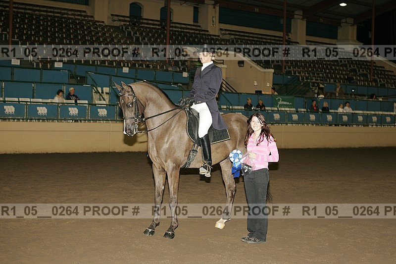 Proof Number r1_05__0264
