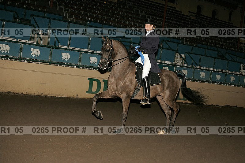Proof Number r1_05__0265