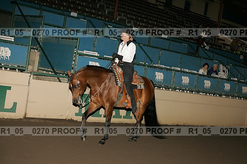 Proof Number r1_05__0270