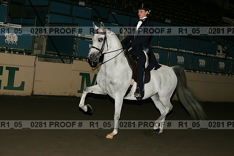 Proof Number r1_05__0281