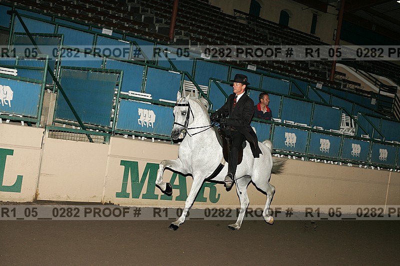 Proof Number r1_05__0282