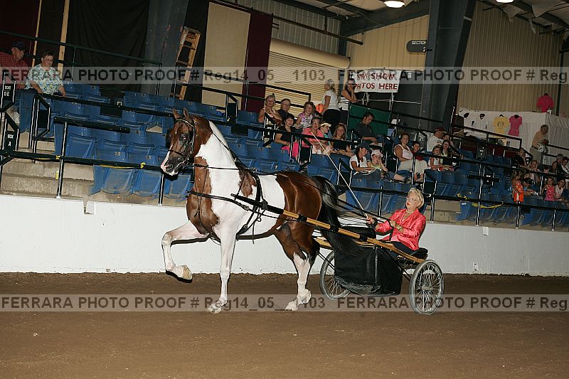 Proof Number reg14_05__1103
