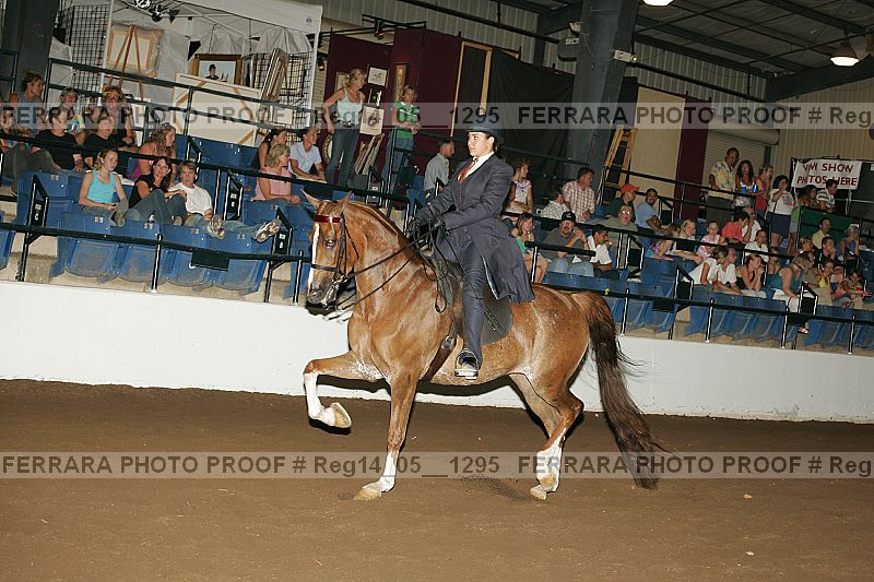 Proof Number reg14_05__1295