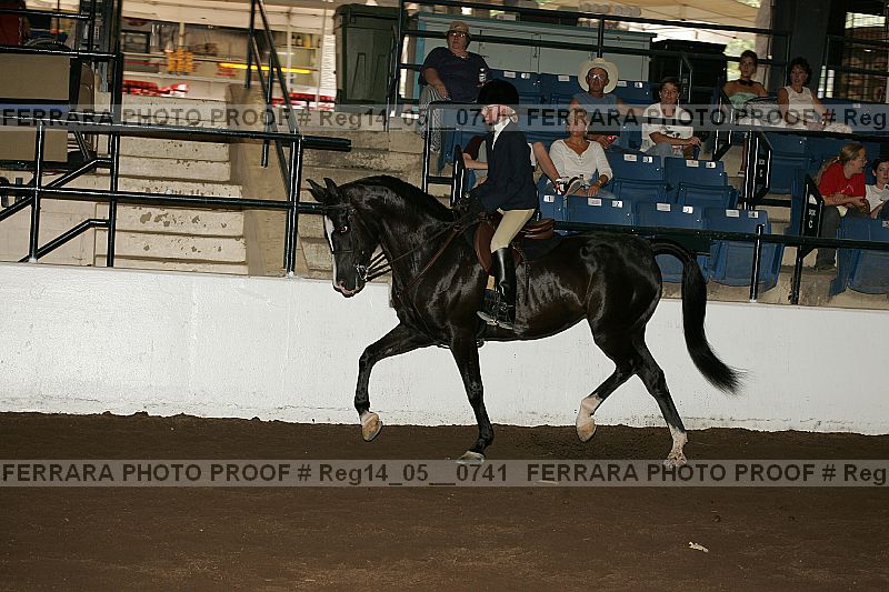 Proof Number reg14_05__0741