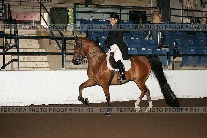 Proof Number r14_05__0375
