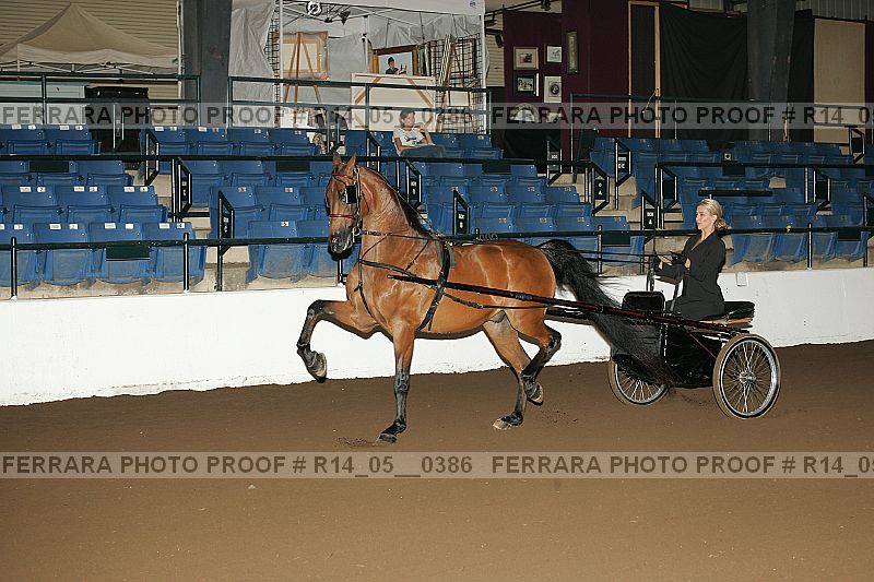 Proof Number r14_05__0386