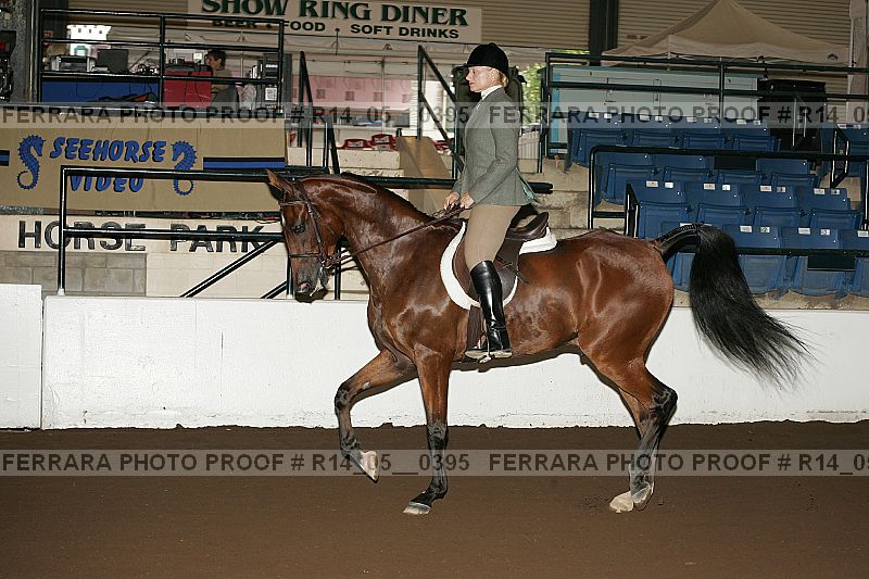 Proof Number r14_05__0395