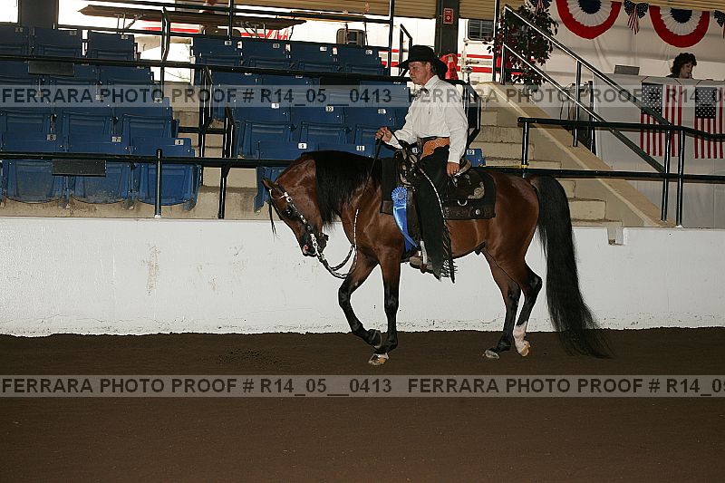 Proof Number r14_05__0413