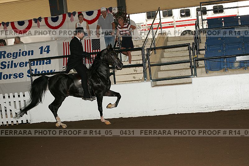 Proof Number r14_05__0431