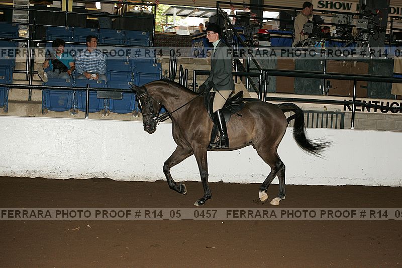 Proof Number r14_05__0457