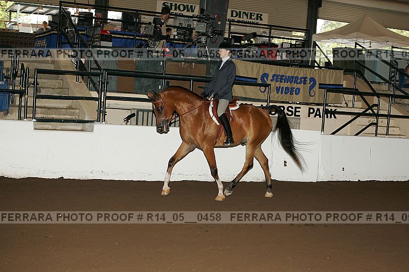 Proof Number r14_05__0458