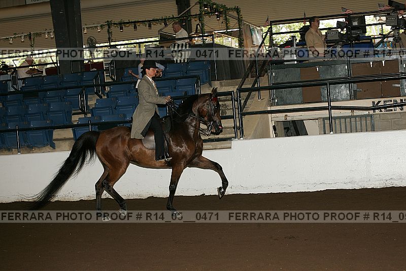 Proof Number r14_05__0471