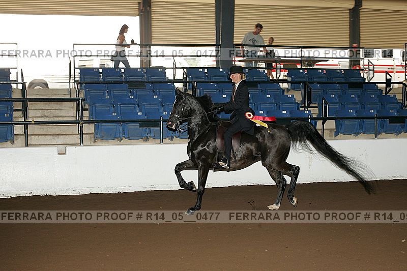 Proof Number r14_05__0477