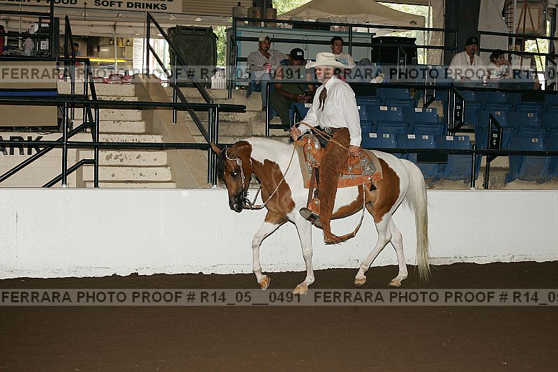 Proof Number r14_05__0491