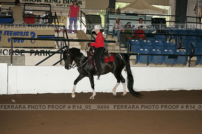 Proof Number r14_05__0494