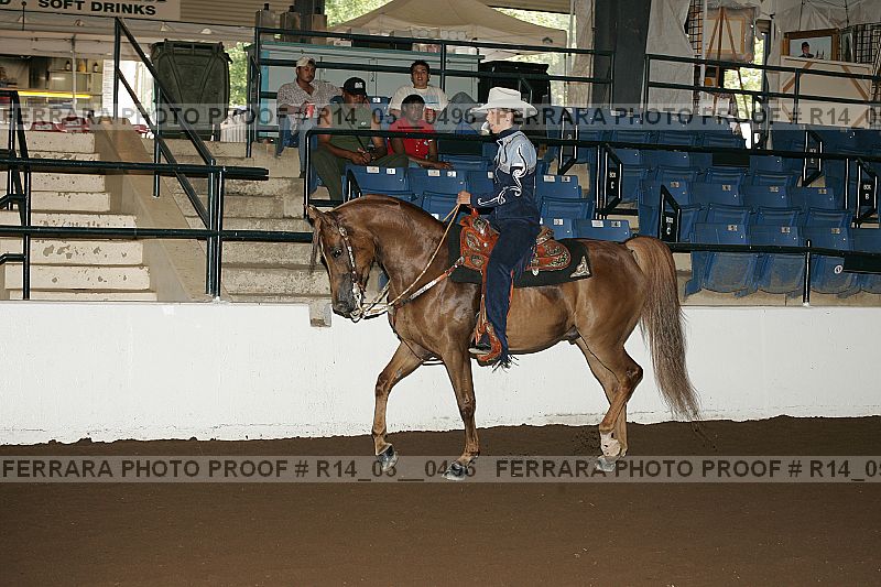 Proof Number r14_05__0496