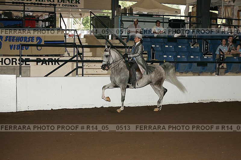 Proof Number r14_05__0513
