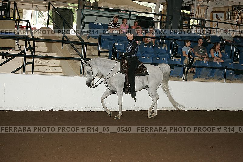 Proof Number r14_05__0540