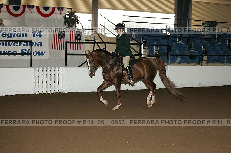 Proof Number r14_05__0553