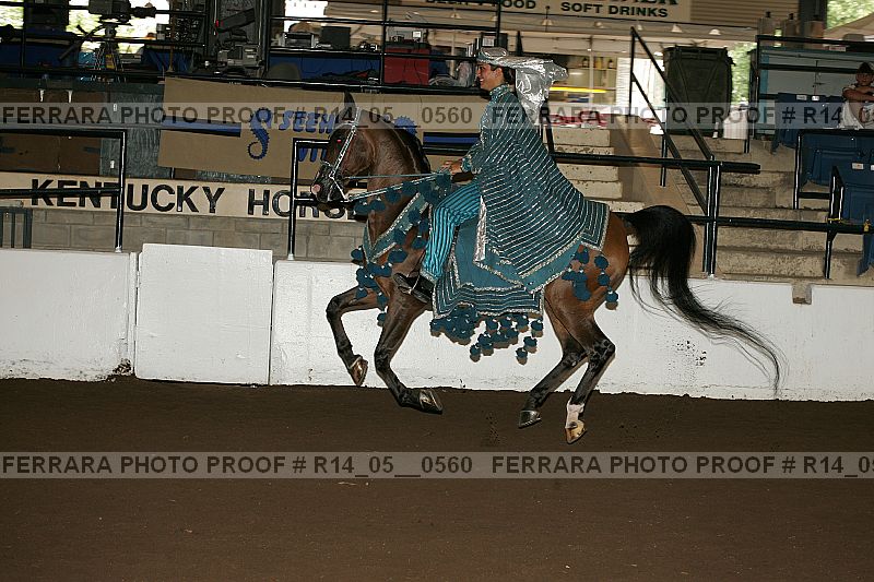 Proof Number r14_05__0560
