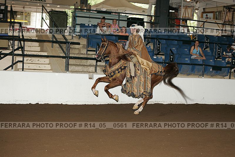 Proof Number r14_05__0561