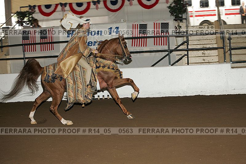 Proof Number r14_05__0563