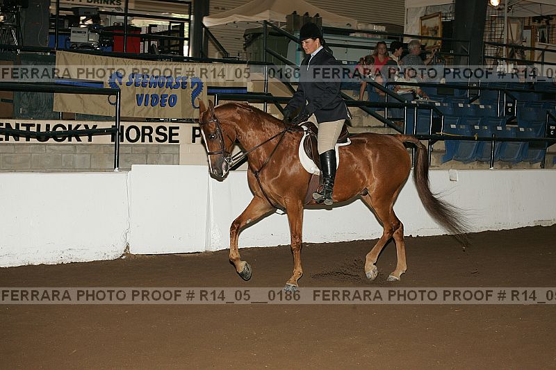 Proof Number r14_05__0186