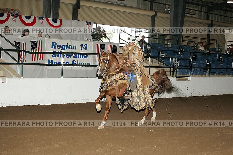 Proof Number r14_05__0194