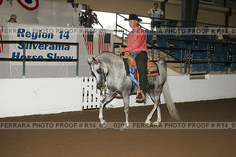 Proof Number r14_05__0201
