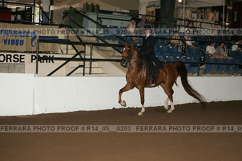 Proof Number r14_05__0203