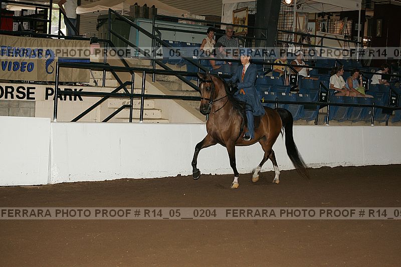 Proof Number r14_05__0204