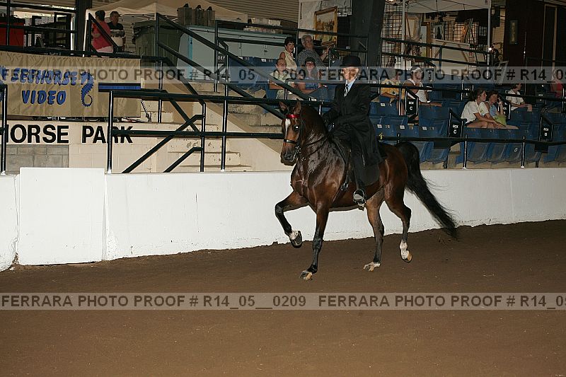 Proof Number r14_05__0209