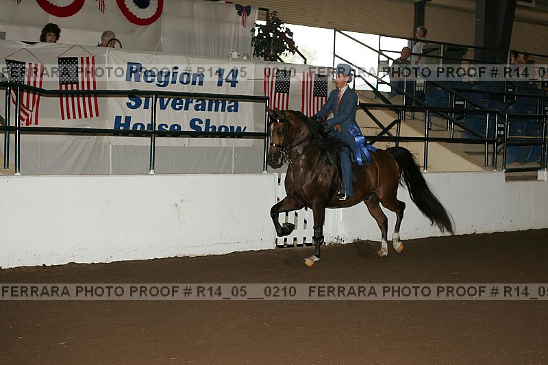 Proof Number r14_05__0210