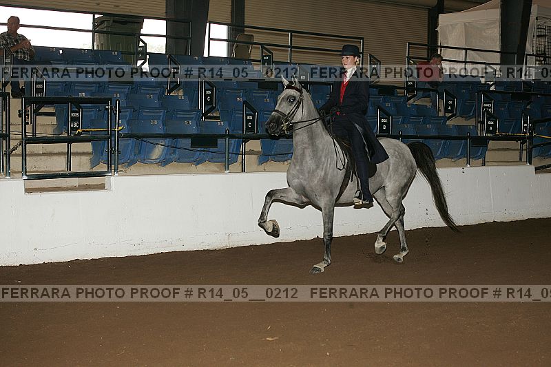 Proof Number r14_05__0212