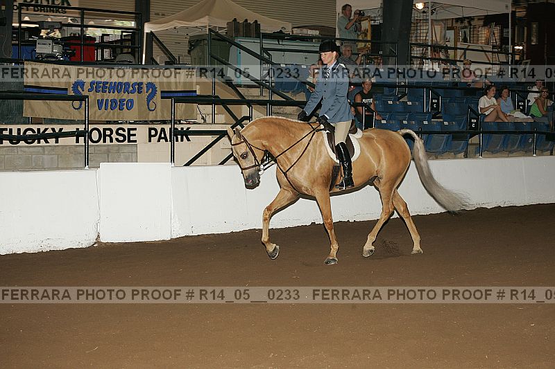 Proof Number r14_05__0233