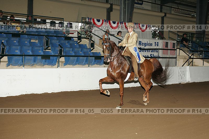 Proof Number r14_05__0265