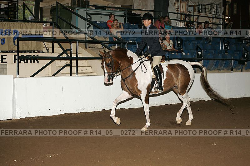 Proof Number r14_05__0272