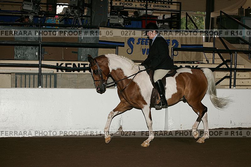 Proof Number r14_05__0274