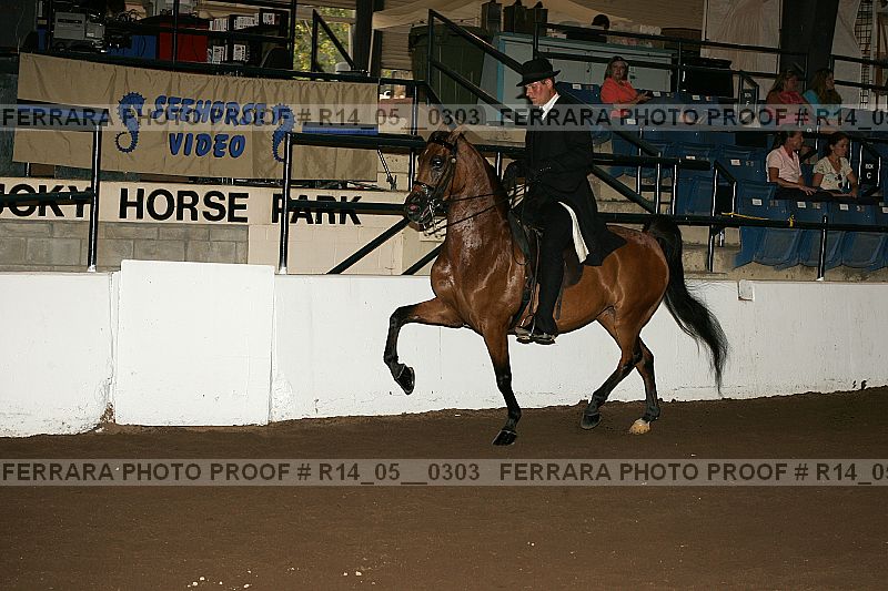 Proof Number r14_05__0303