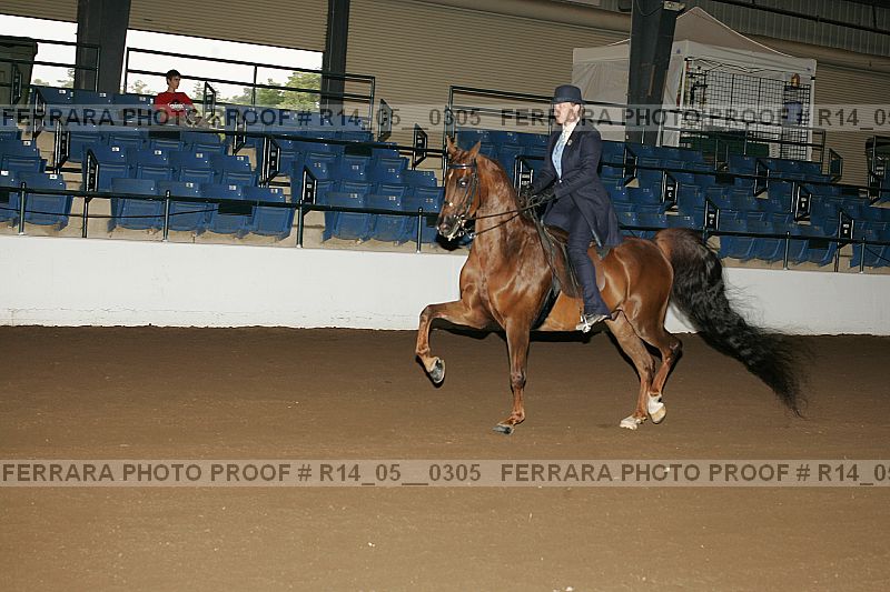 Proof Number r14_05__0305