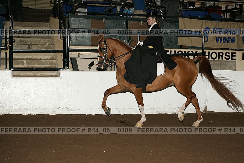 Proof Number r14_05__0309