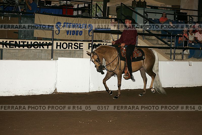 Proof Number r14_05__0317