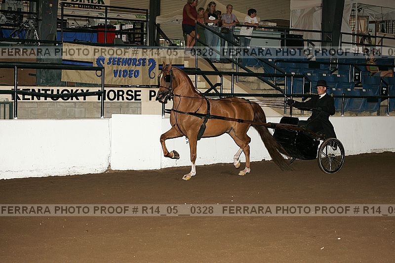 Proof Number r14_05__0328