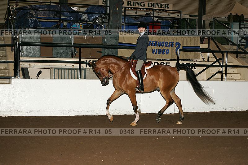 Proof Number r14_05__0348