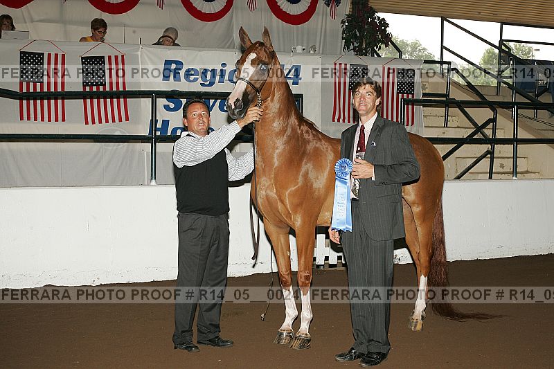 Proof Number r14_05__0024