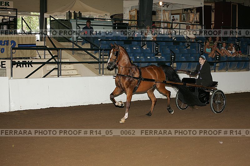 Proof Number r14_05__0062