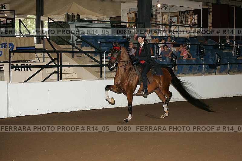 Proof Number r14_05__0080