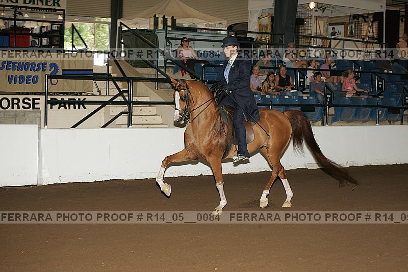 Proof Number r14_05__0084