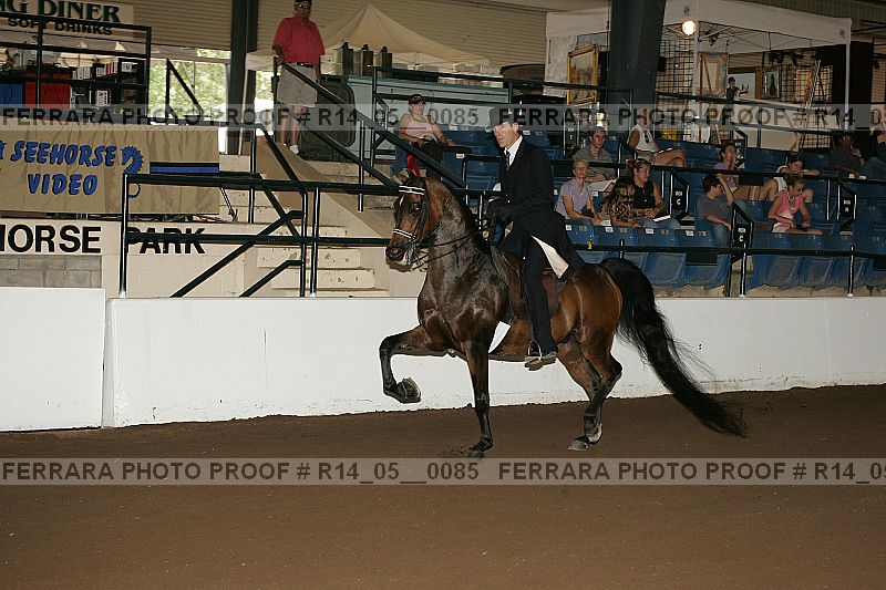 Proof Number r14_05__0085